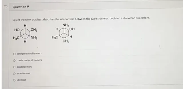 Select the term that best describes the relationship between